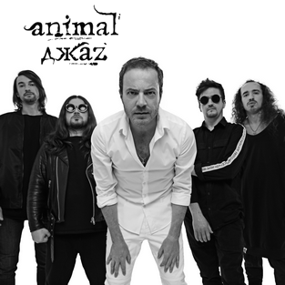 Animal ДжаZ